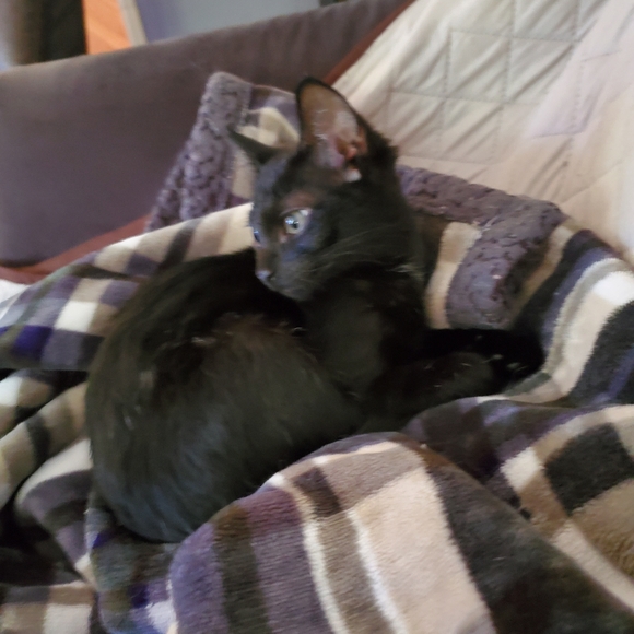 Bundle & Save.. - Picture 7 of 15